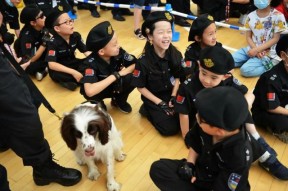 体育游戏娱乐平台-包含门兴格拉德巴赫训练开放日，窗口期完成体检引欢呼，欧篮联在即，数据趋势出现新变化的词条